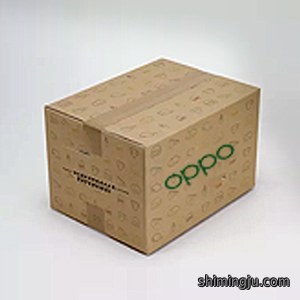 OPPO